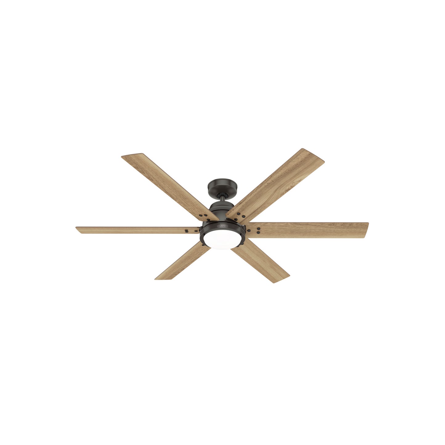 Elphaba 60" Fan