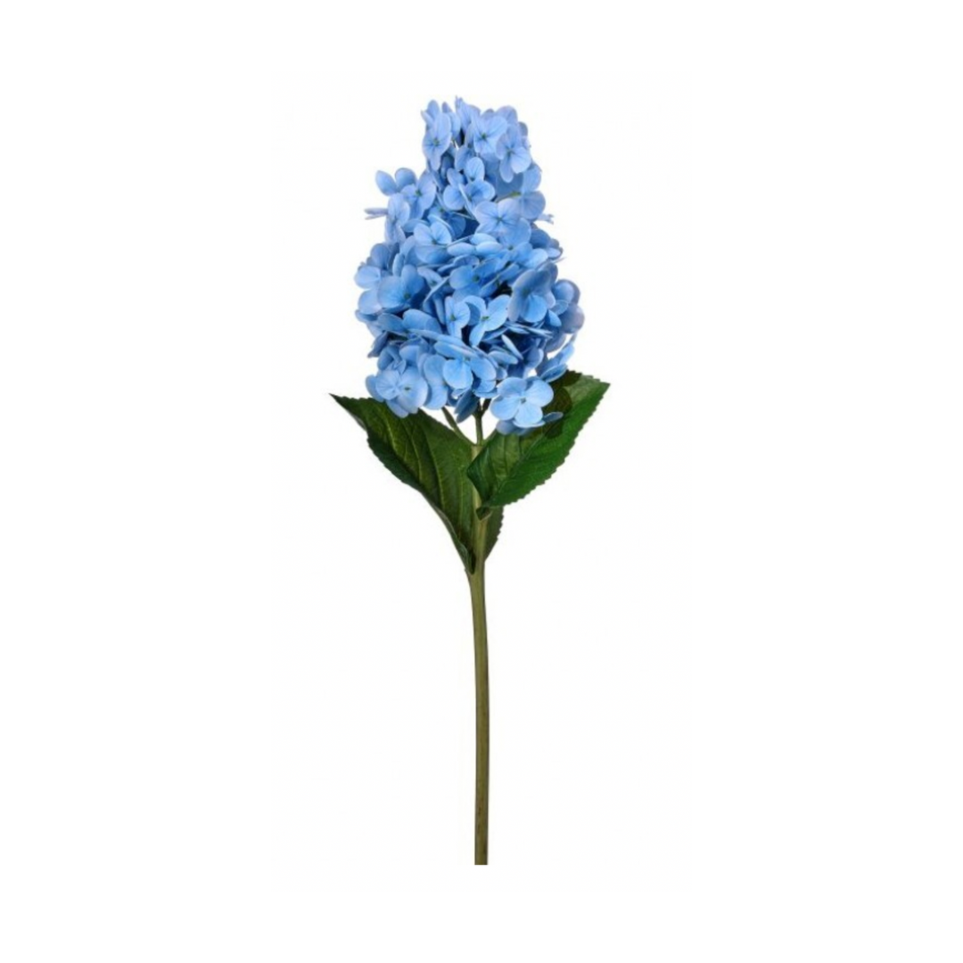 Soft Touch Garden Cone Hydrangea