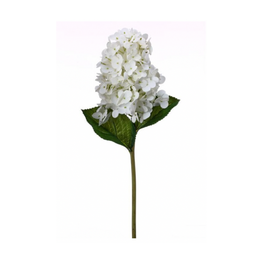 Soft Touch Garden Cone Hydrangea