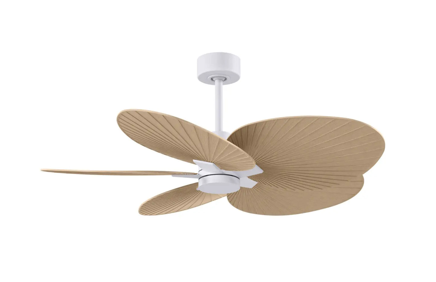 Alessandra Tropical Fan