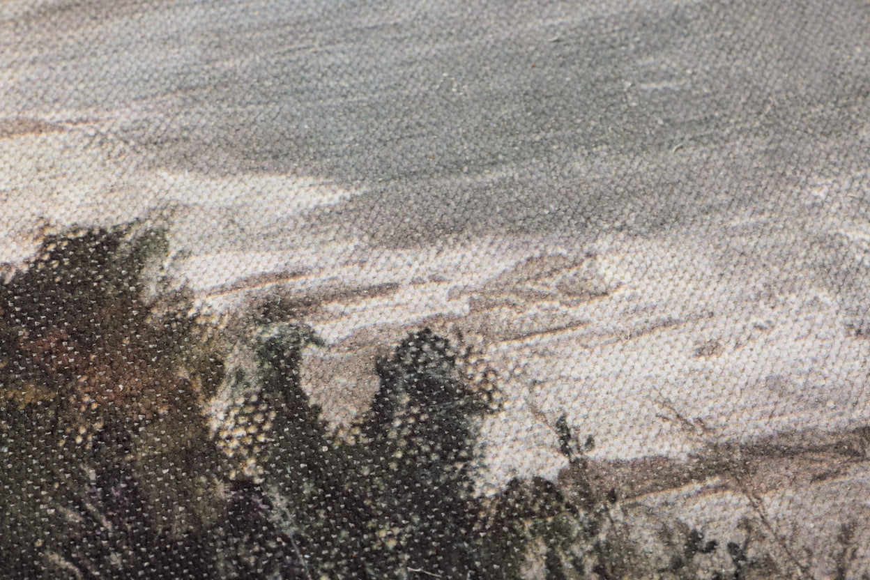Whispers of the Coast