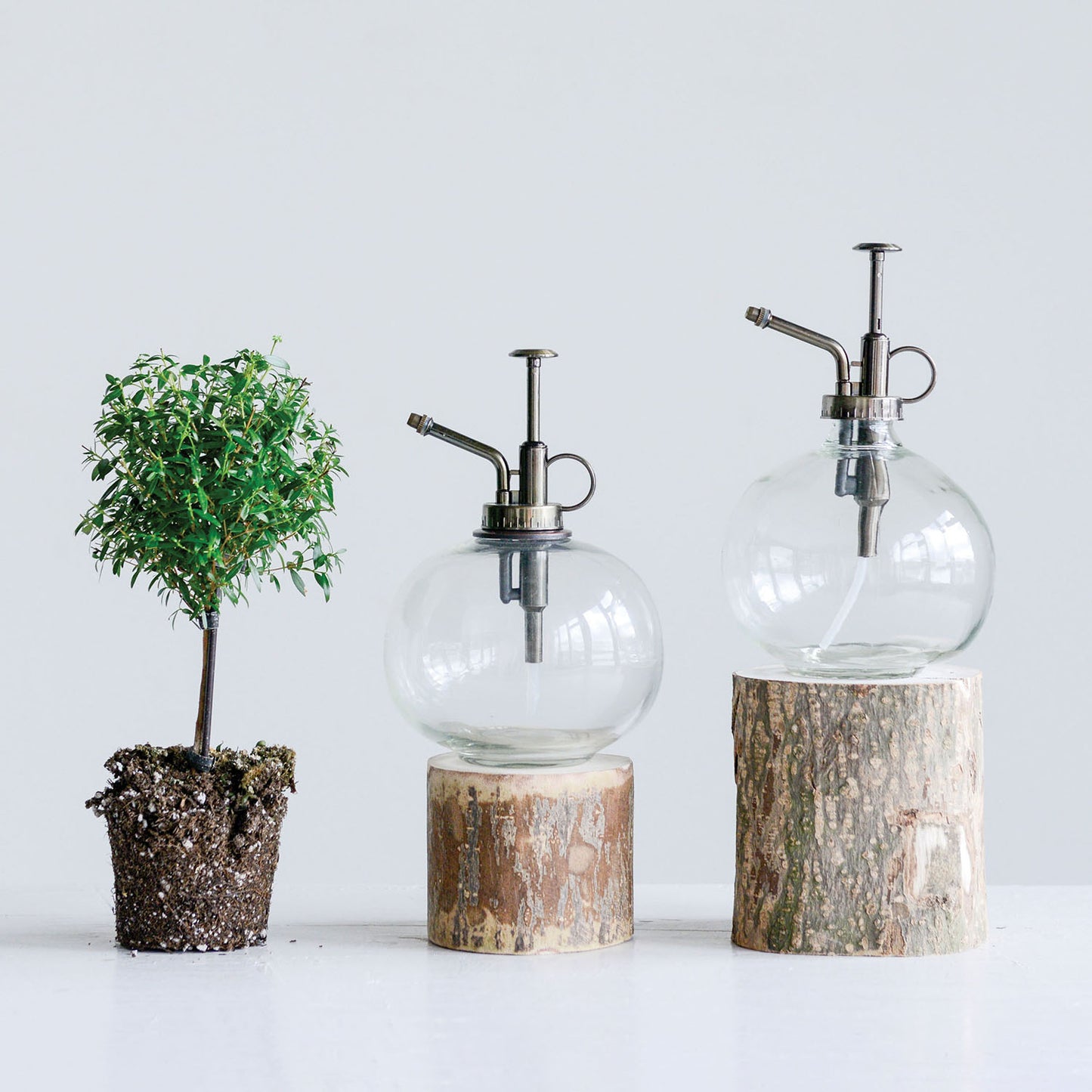 Glass Plant Mister