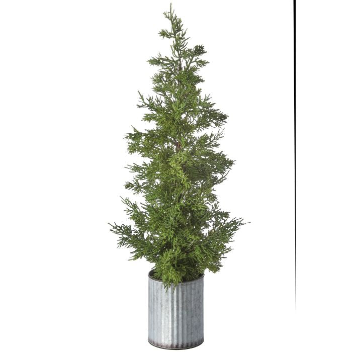 Galvanized Potted Cedar