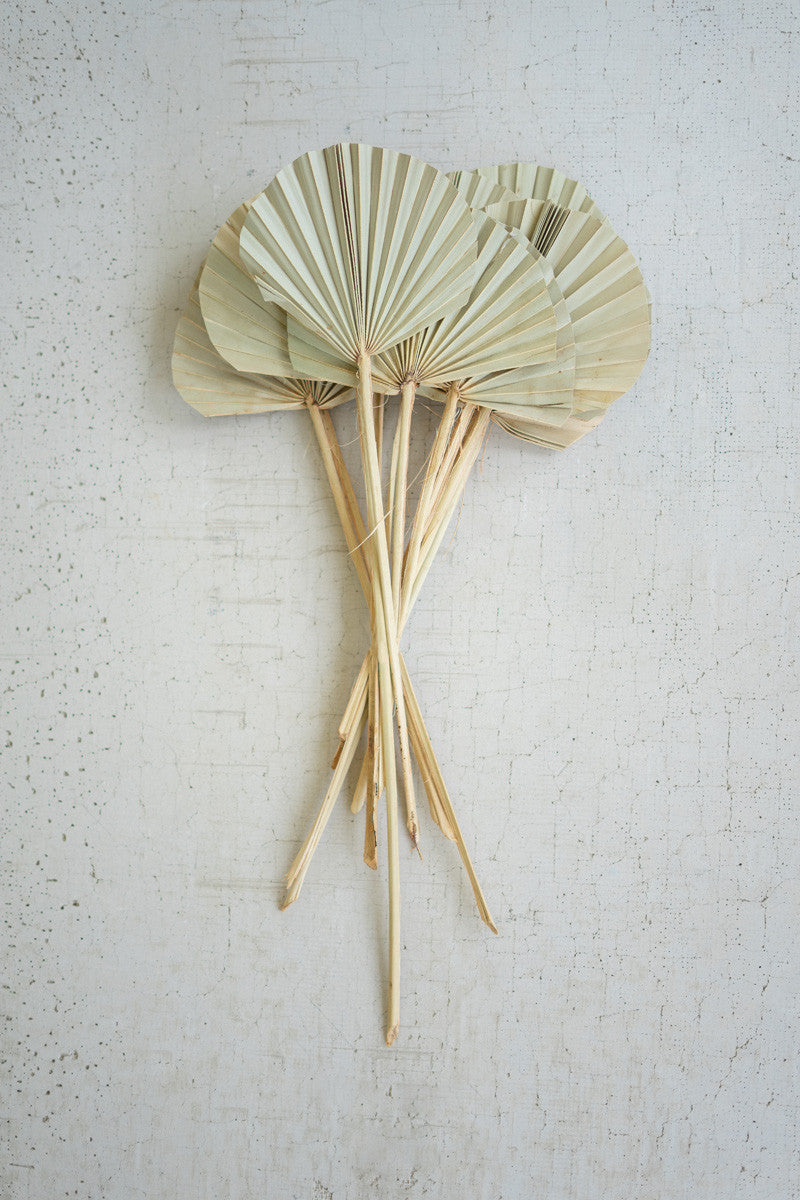 Natural Rounded Palm Spear Bundle