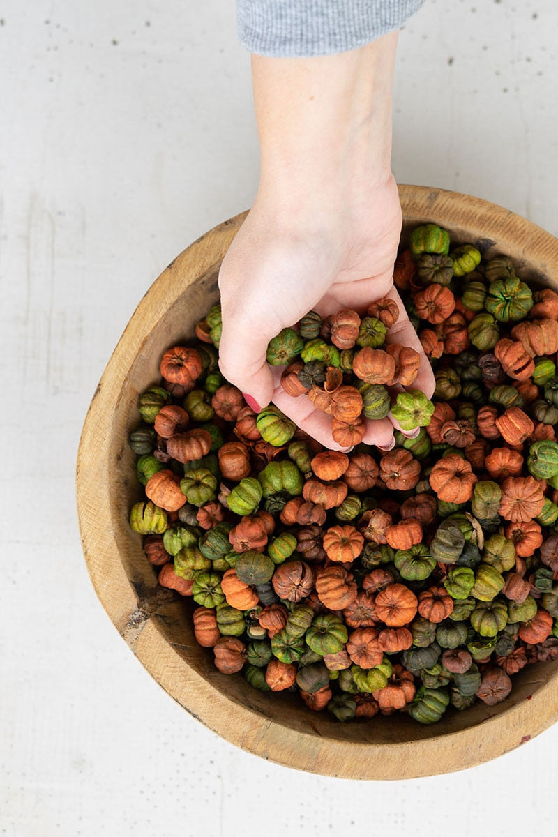 Mini Pumpkin Bowl Filler