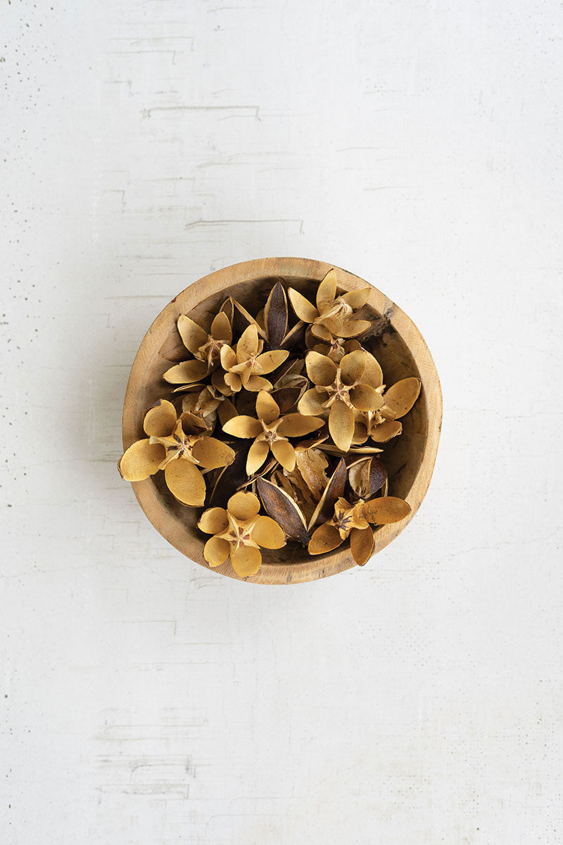 Dried Lily Pods