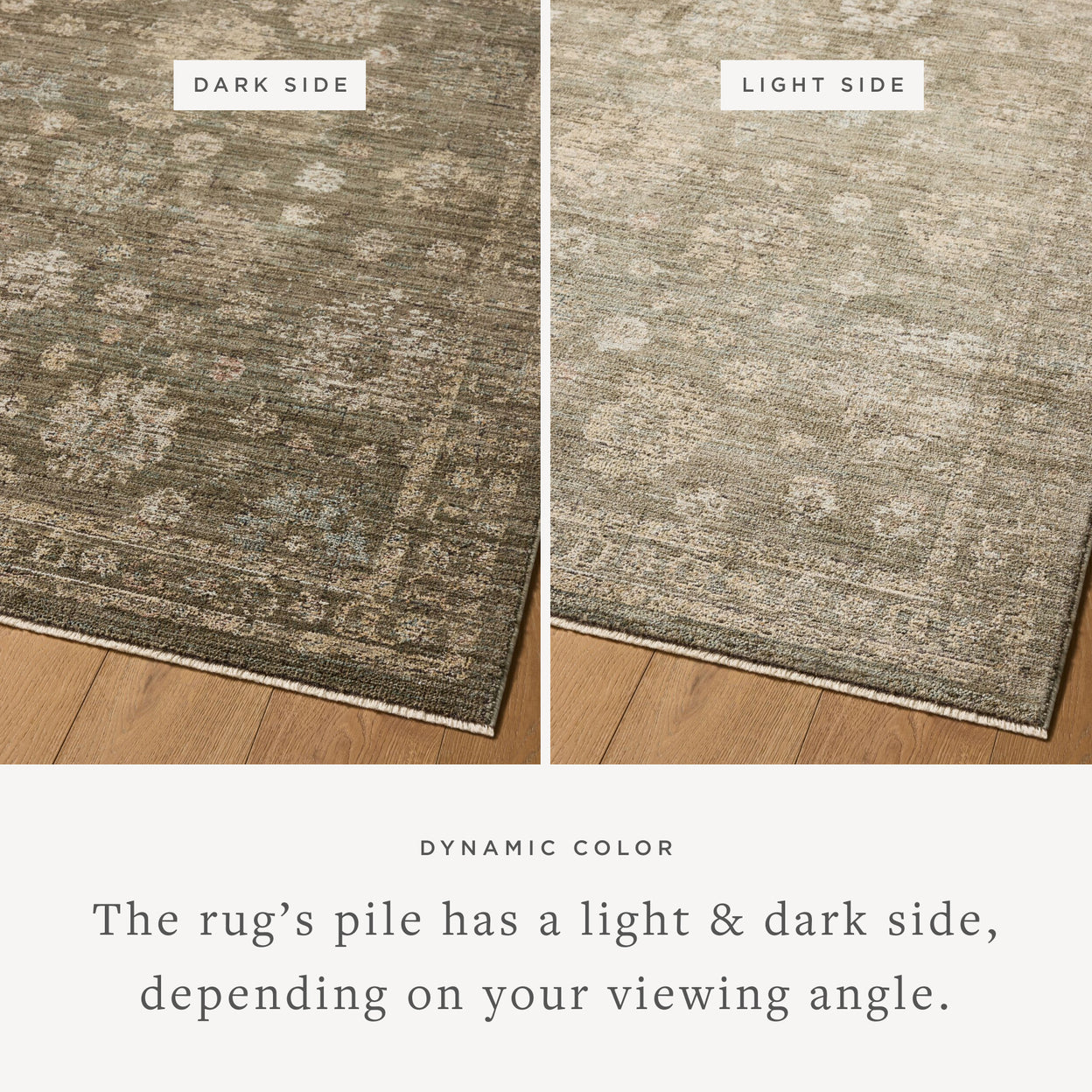 Priscilla Olive / Sand Rug