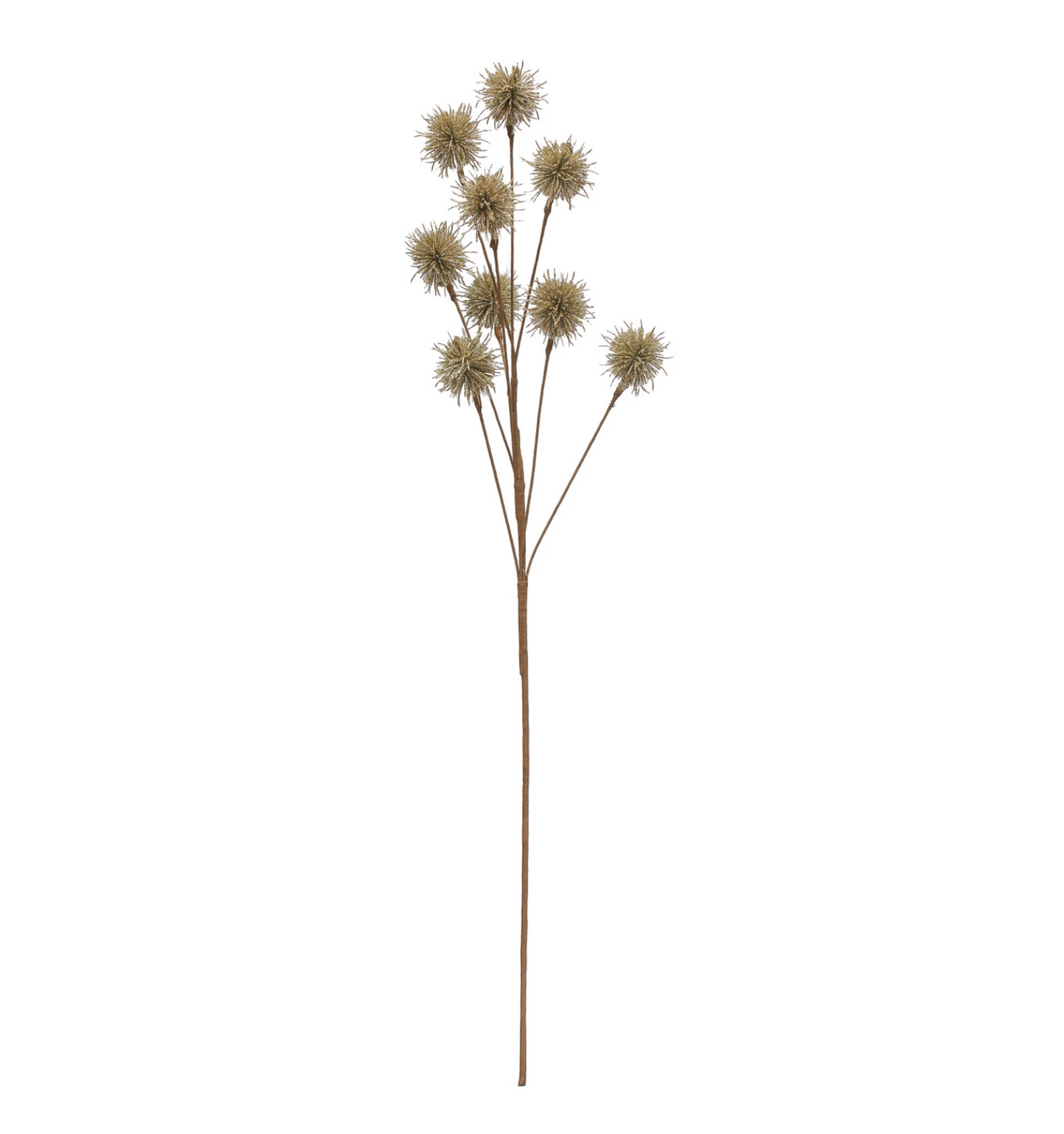Champagne Thistle Spray