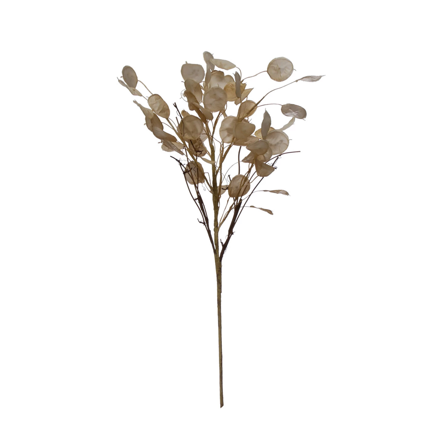 Faux Silver Dollar Stem