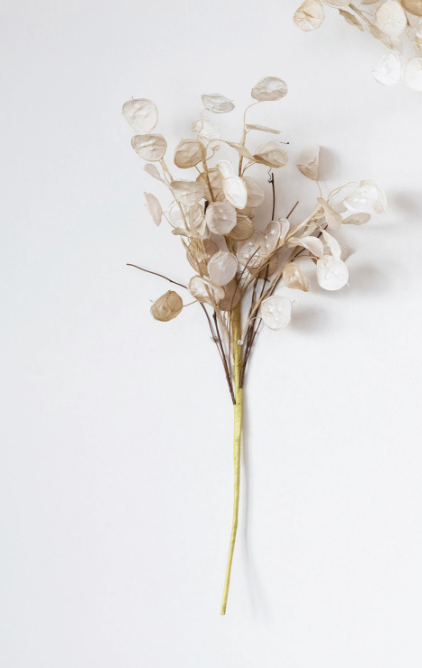 Faux Silver Dollar Stem
