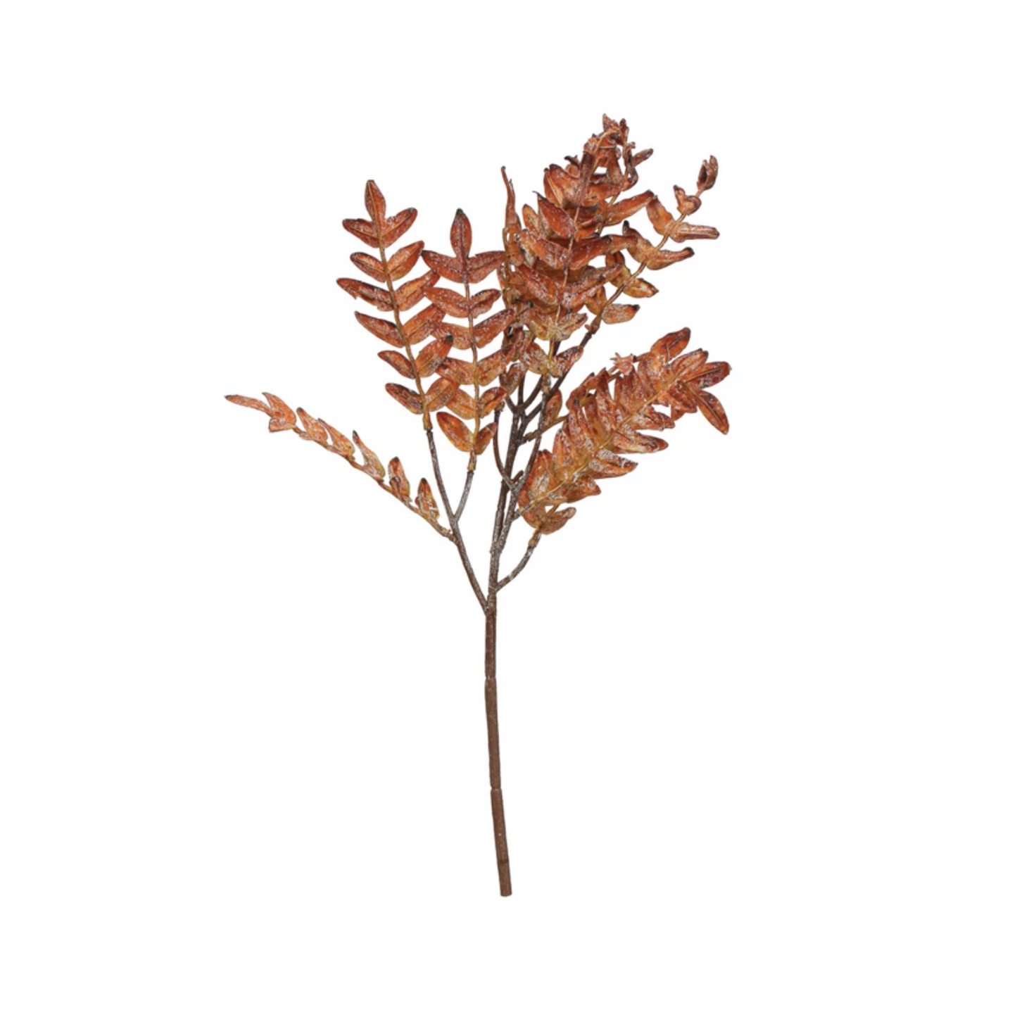 Brown Fern Leaf Pick