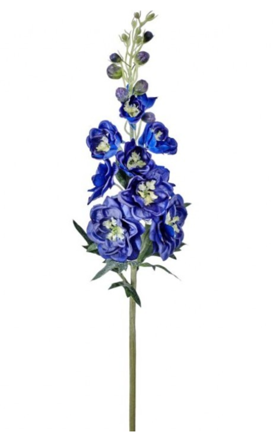 Just Cut Dark Blue Garden Delphinium