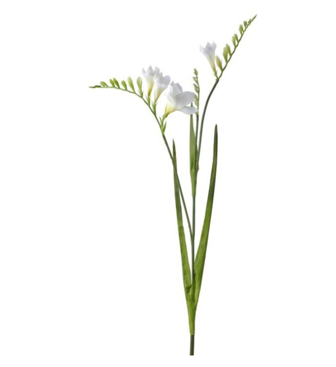 White Freesia Spray
