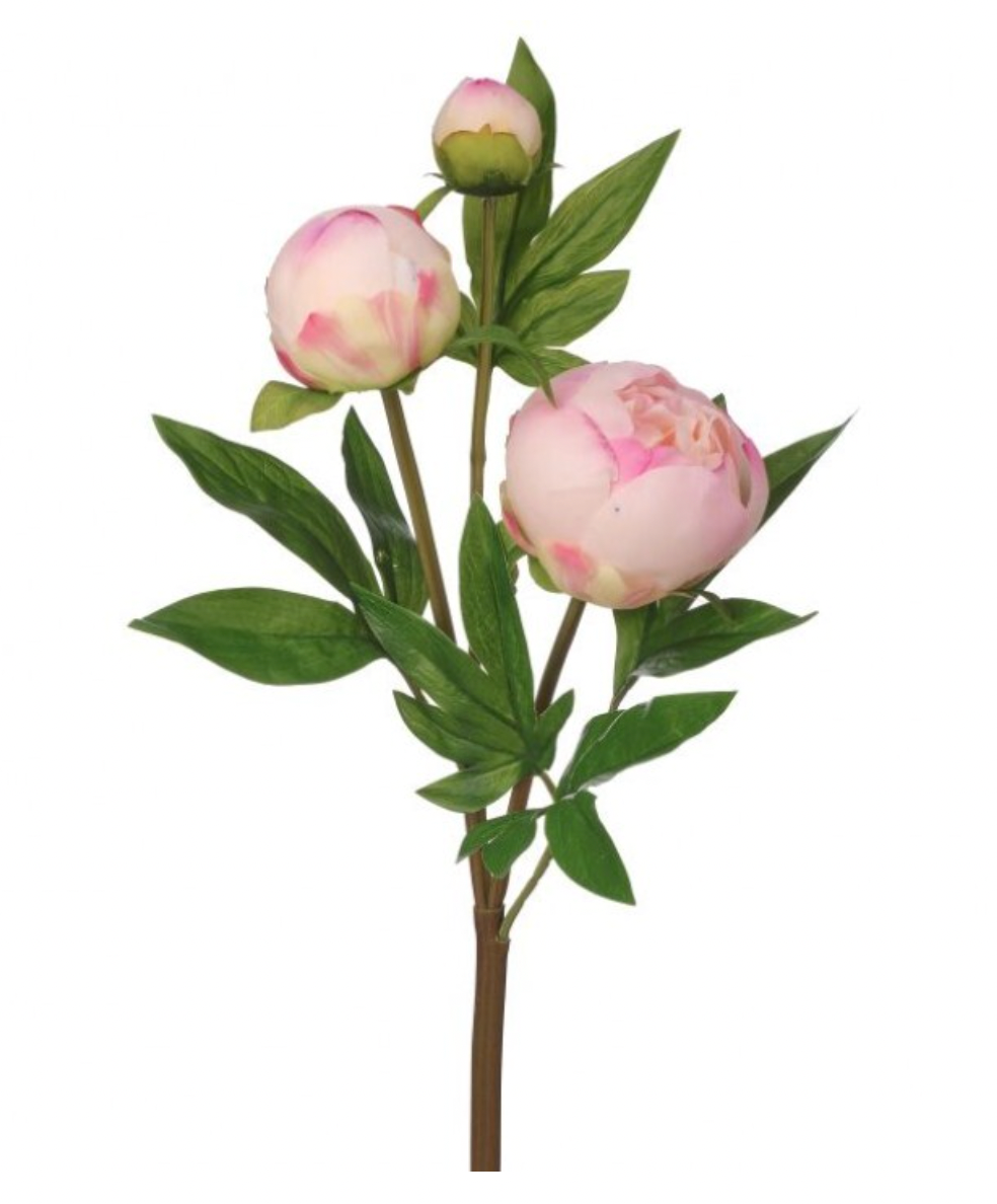 Blush Peony Bud Spray