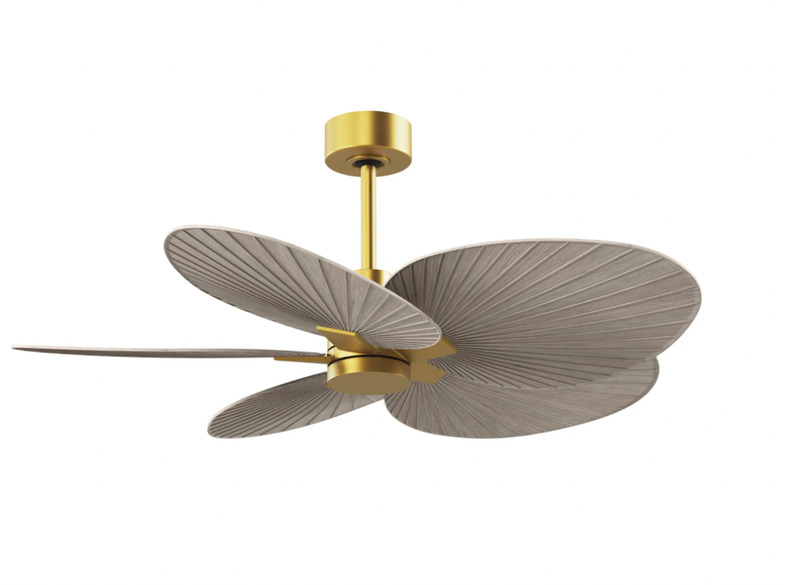 Alessandra Tropical Fan