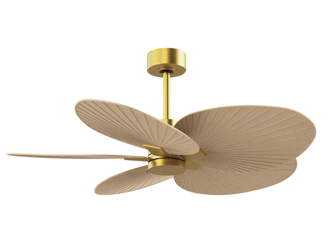 Alessandra Tropical Fan