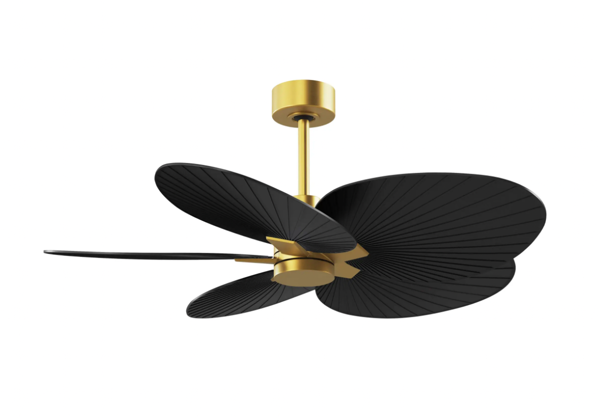 Alessandra Tropical Fan