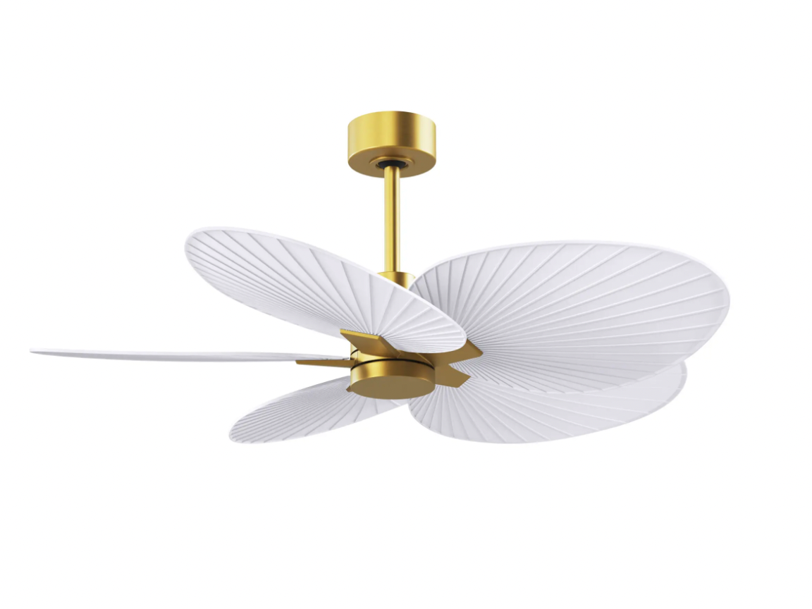 Alessandra Tropical Fan