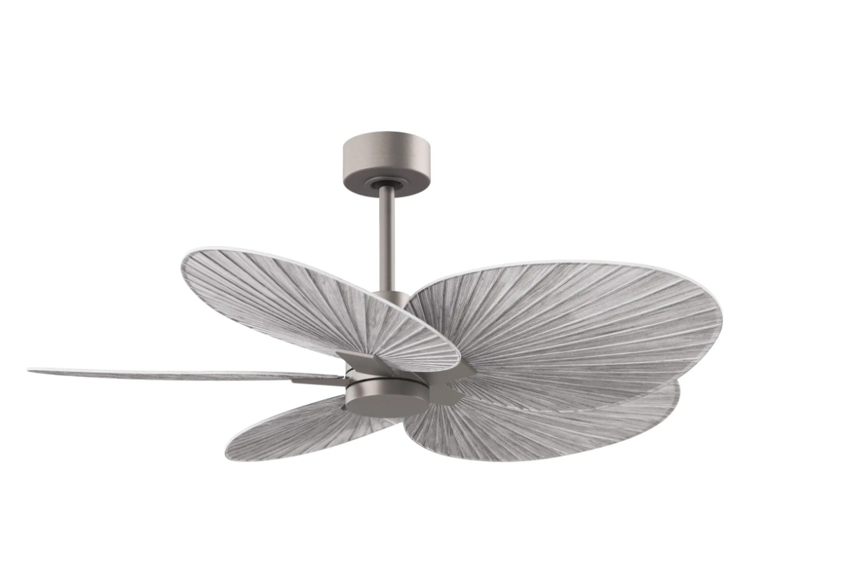 Alessandra Tropical Fan