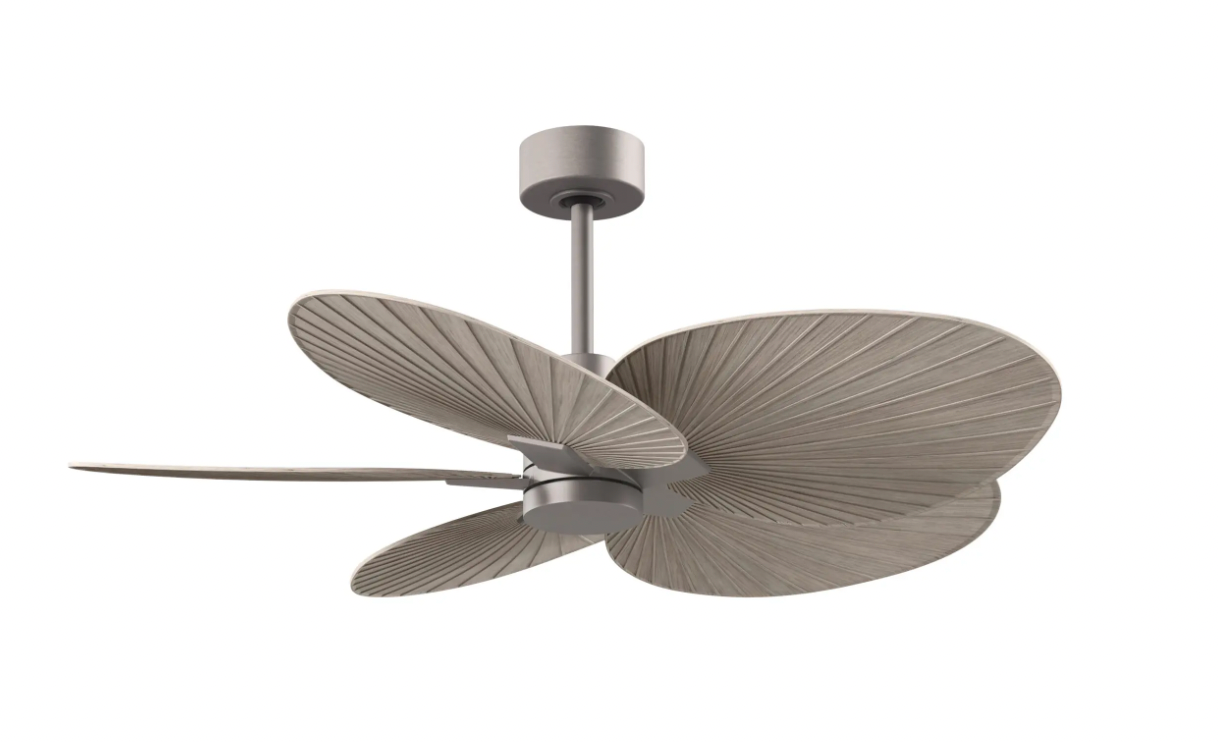 Alessandra Tropical Fan
