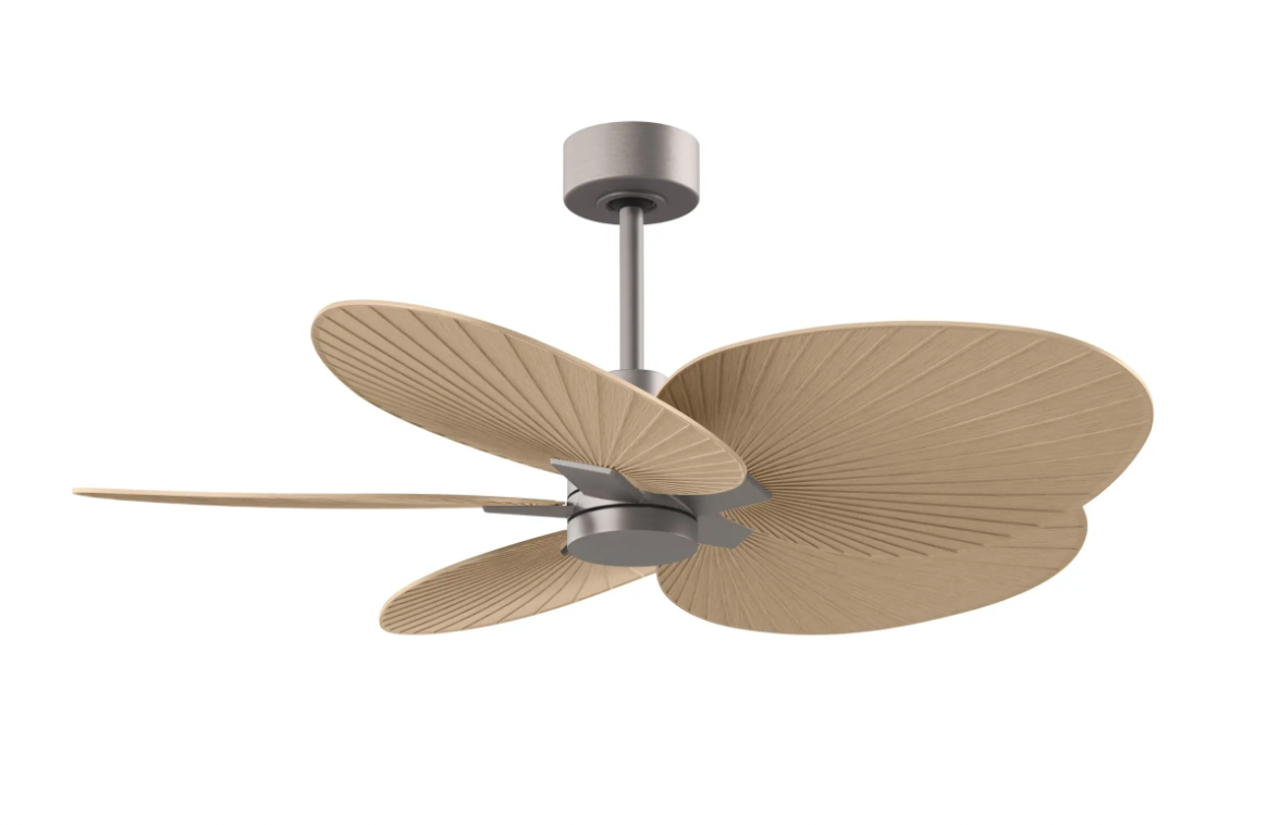 Alessandra Tropical Fan