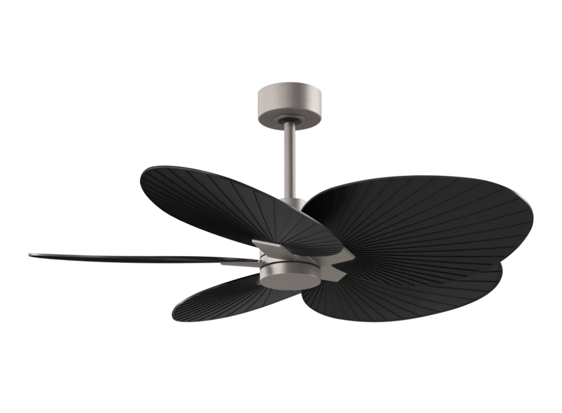 Alessandra Tropical Fan