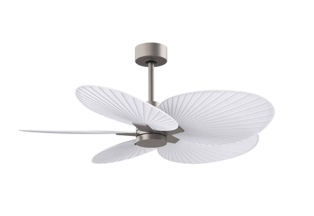 Alessandra Tropical Fan