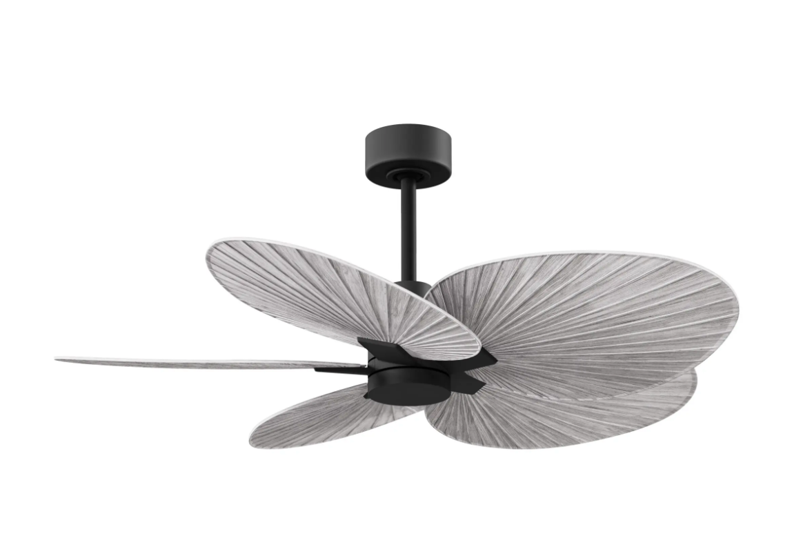Alessandra Tropical Fan