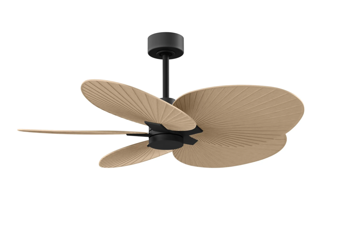 Alessandra Tropical Fan