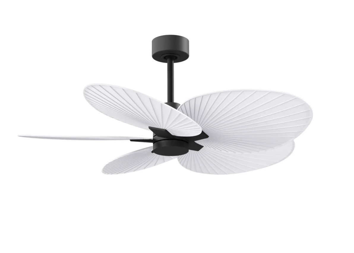 Alessandra Tropical Fan