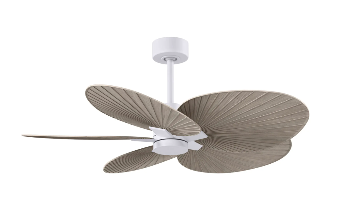 Alessandra Tropical Fan