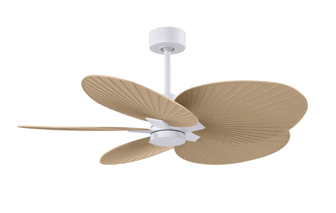 Alessandra Tropical Fan