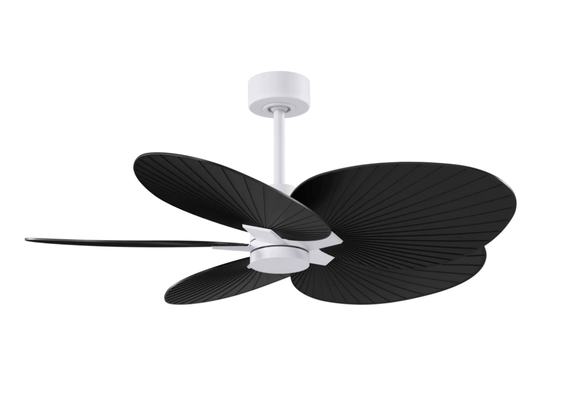 Alessandra Tropical Fan