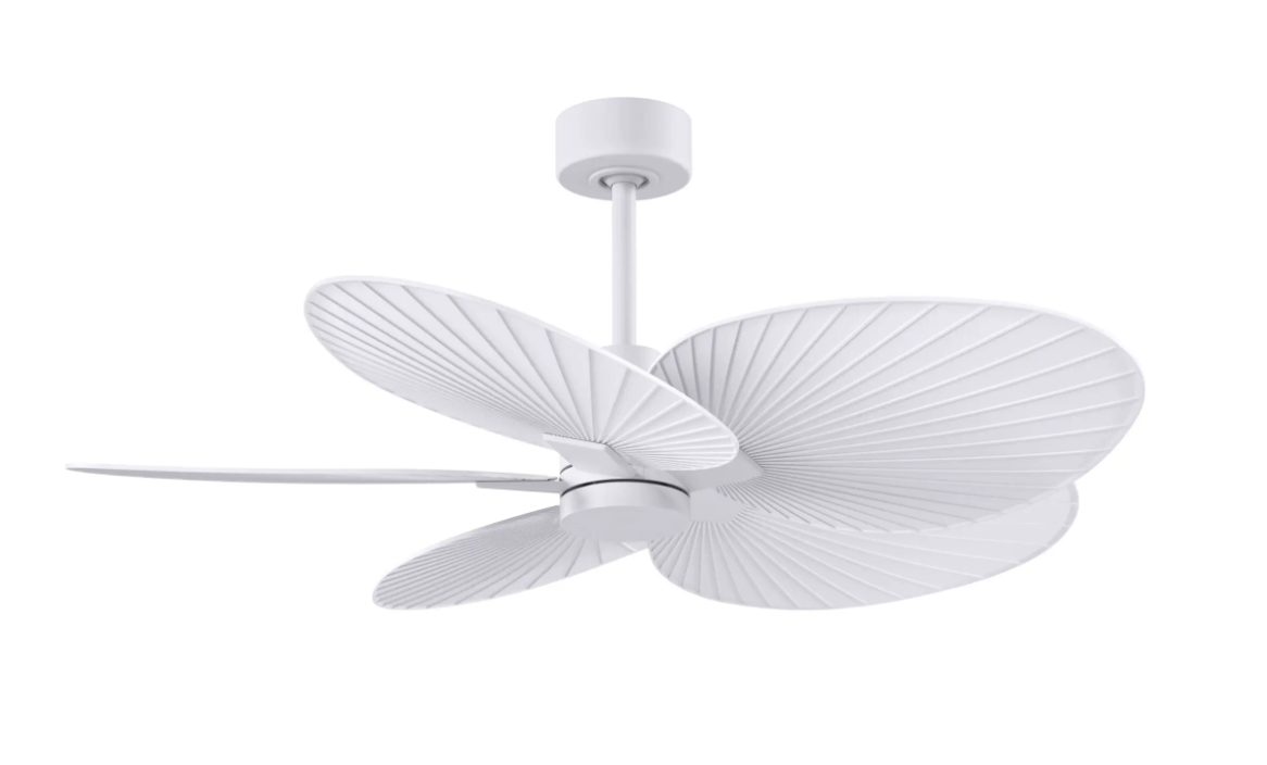 Alessandra Tropical Fan