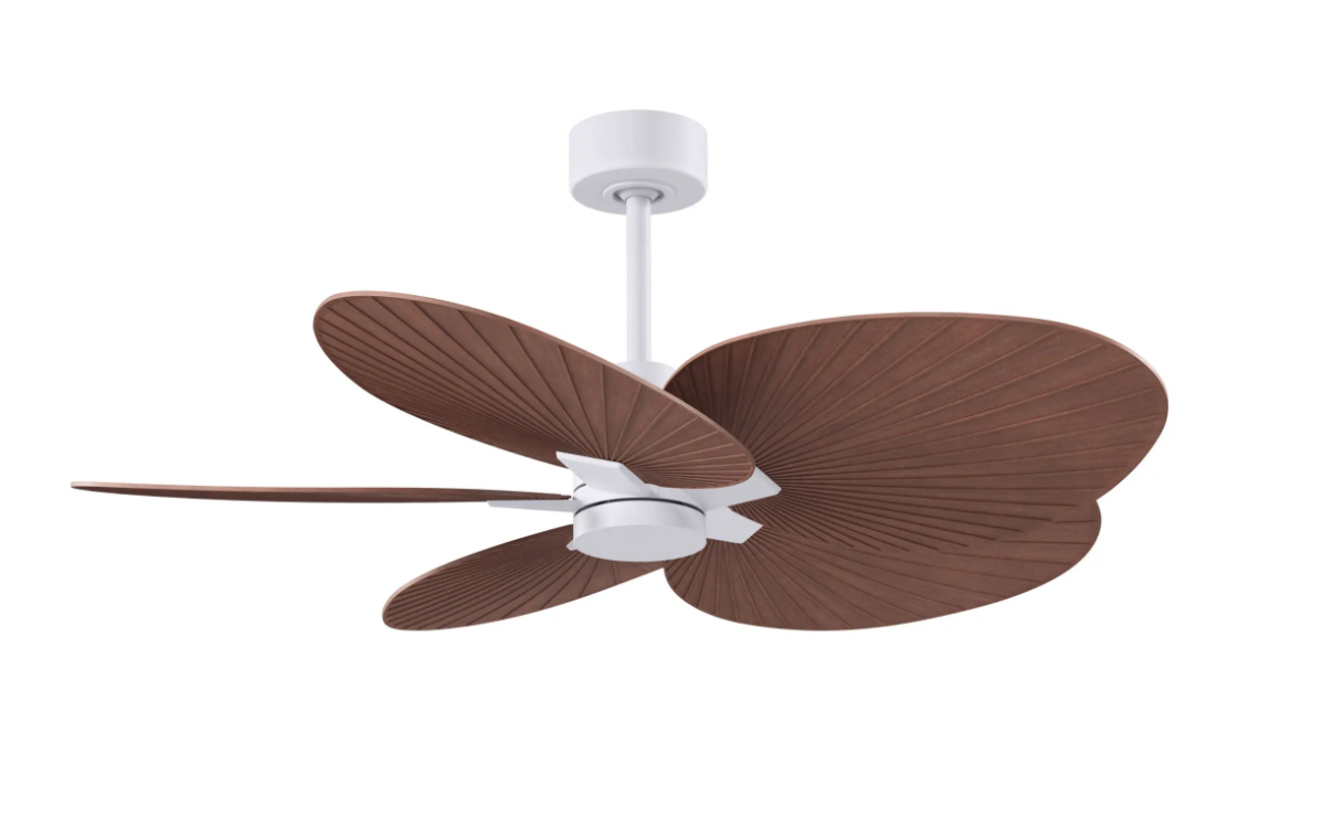 Alessandra Tropical Fan