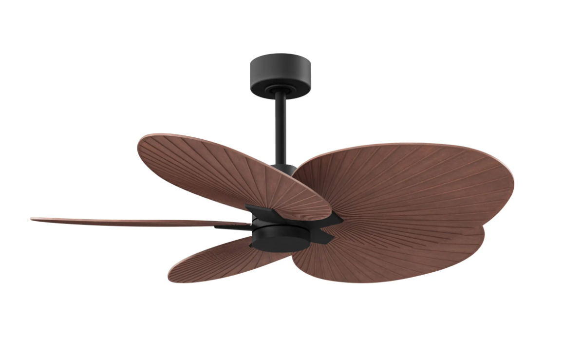 Alessandra Tropical Fan