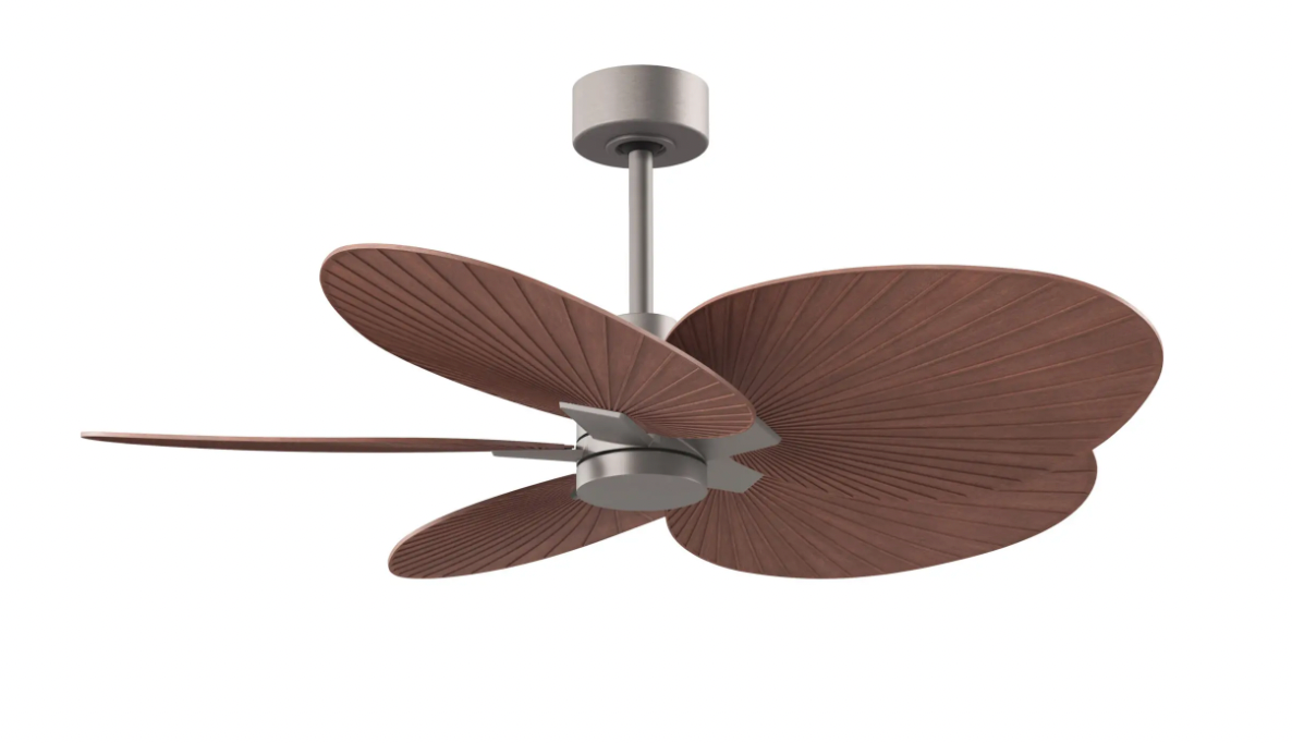 Alessandra Tropical Fan