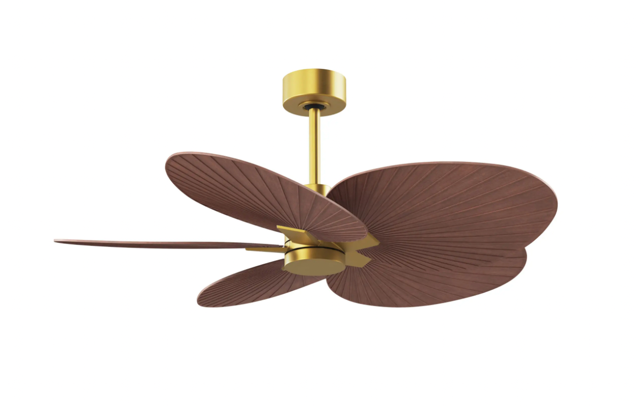 Alessandra Tropical Fan