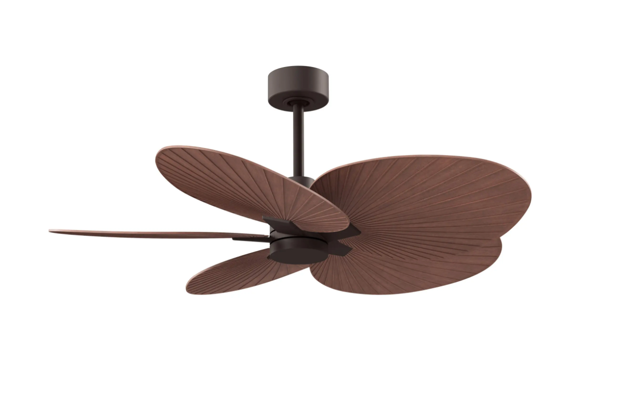 Alessandra Tropical Fan