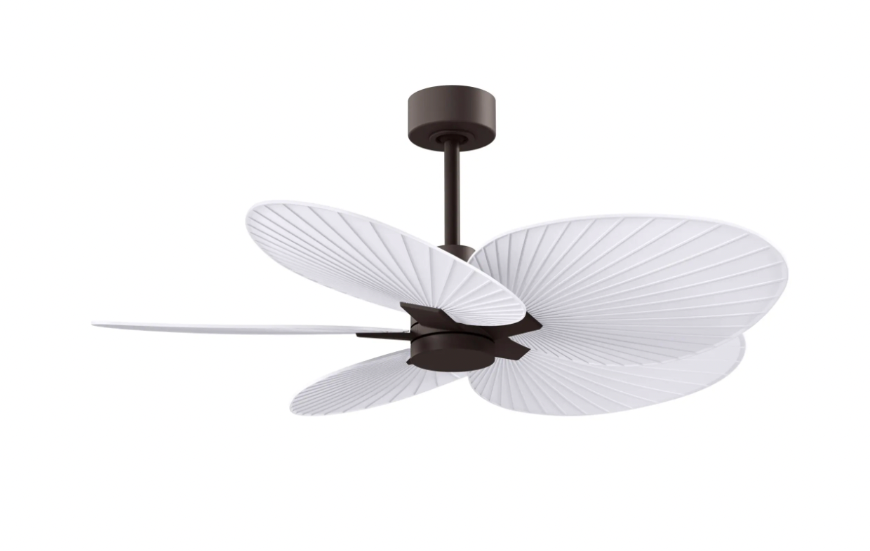 Alessandra Tropical Fan