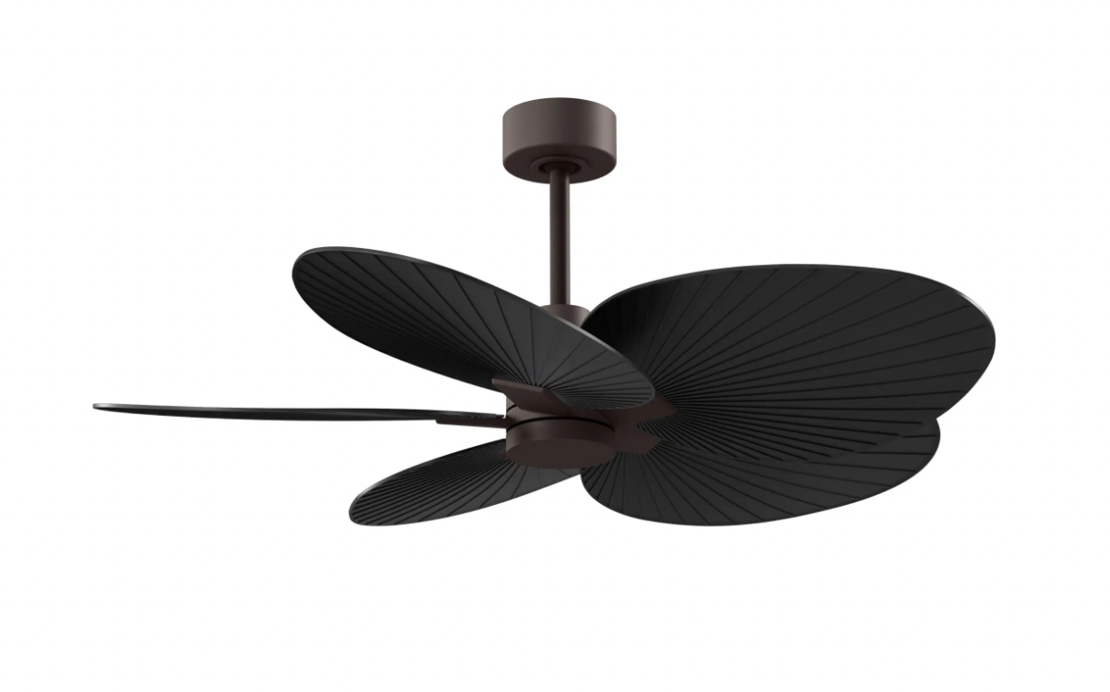 Alessandra Tropical Fan