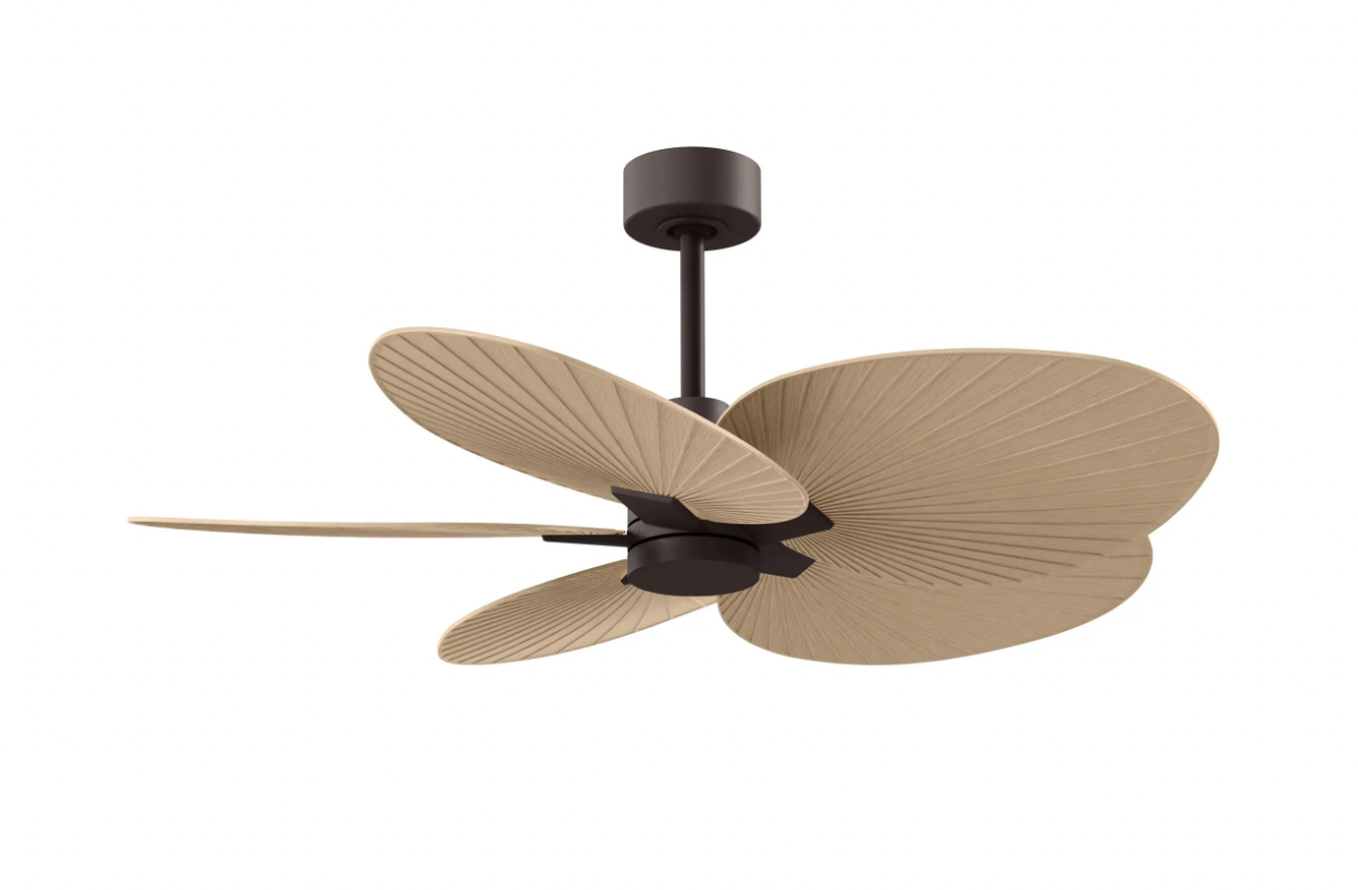 Alessandra Tropical Fan