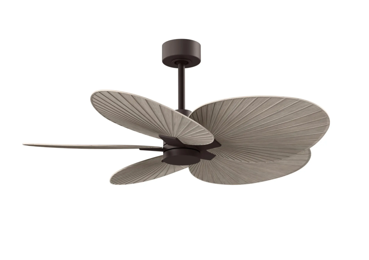 Alessandra Tropical Fan