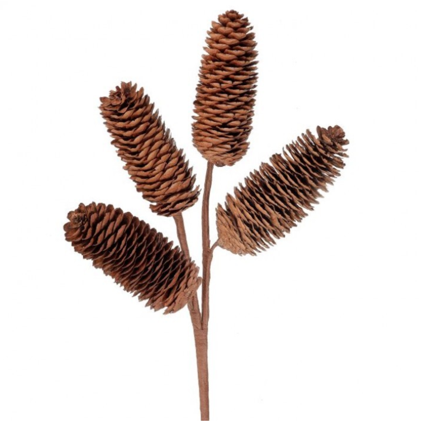 Natural Pinecone Spray
