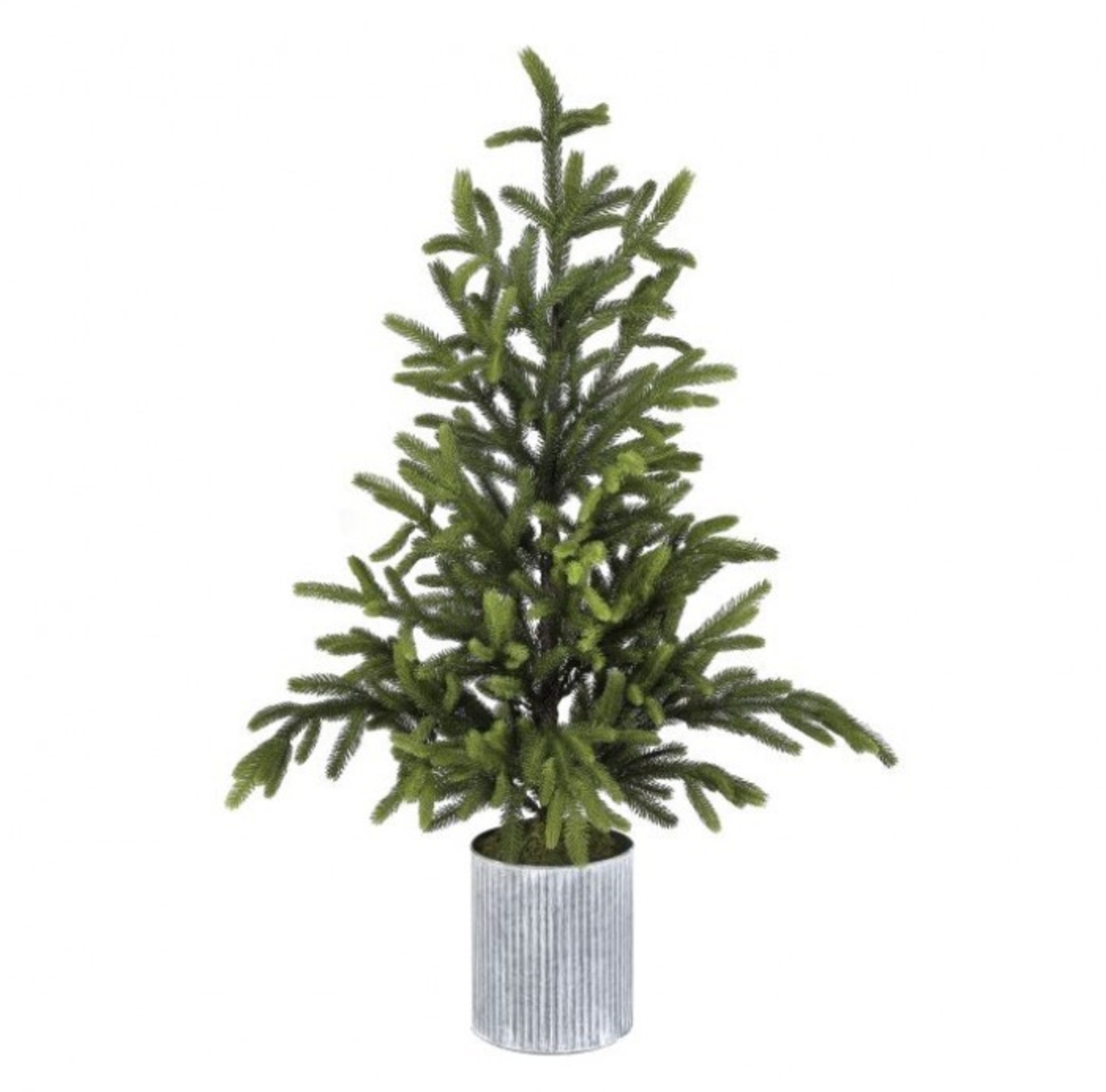 48" Norway Spruce Tree