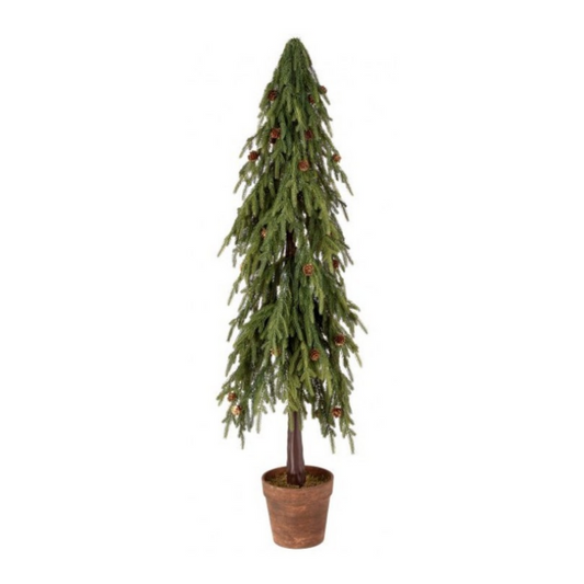 48" Potted Soft Touch Norfolk Pine Tree