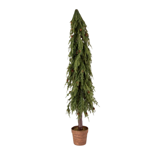 60" Potted Soft Touch Norfolk Pine Tree