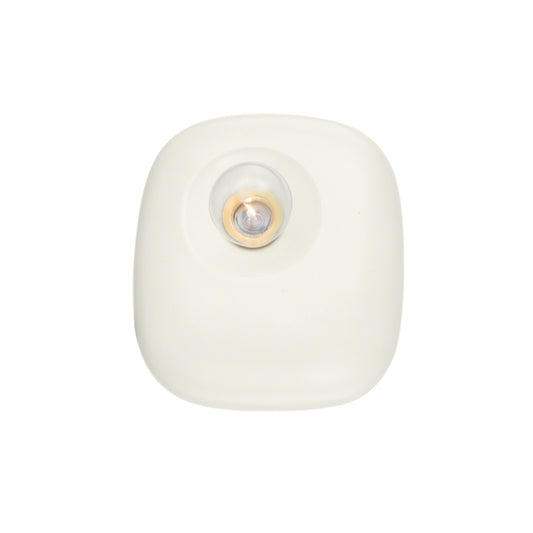 Colleen Wall Sconce