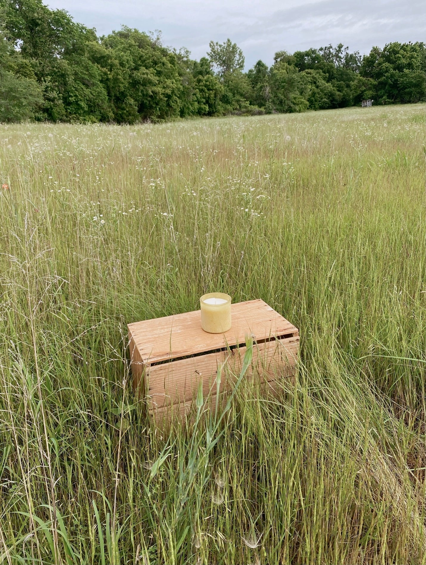 Rise Signature Candle