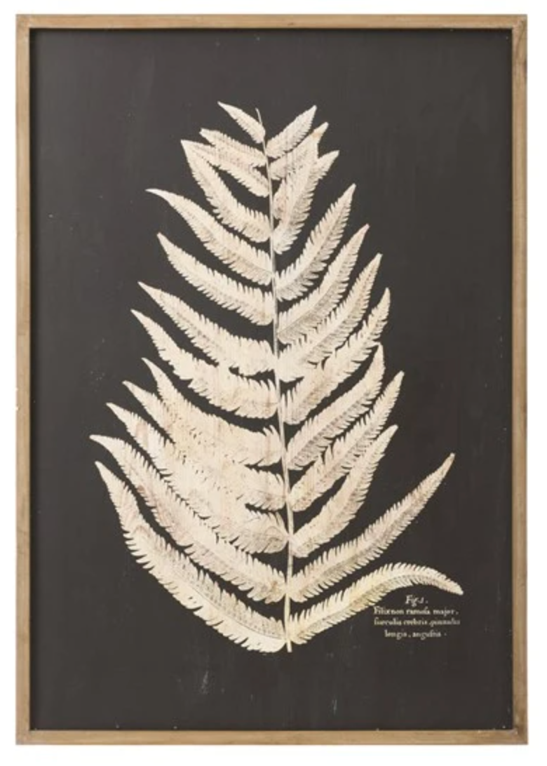 Framed Fern Leaf